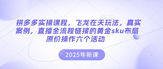 拼多多实操课程，飞龙在天玩法，真实案例，直播全流程链接的黄金sku布局原价操作六个活动-静昭俊轻创站