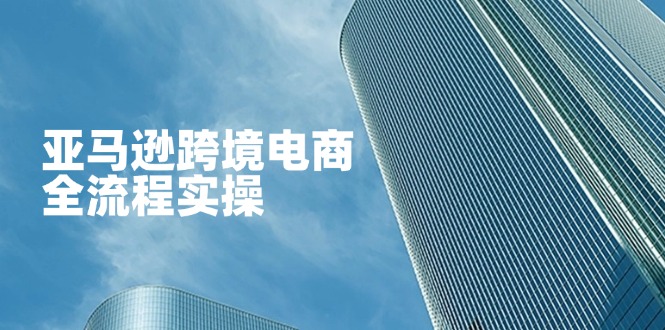 （14252期）亚马逊跨境电商全流程实操，教你从零开始，掌握店铺运营与广告技巧-静昭俊轻创站