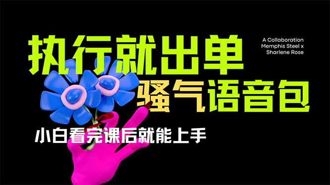 （14170期）爆火全网的开车导航骚气语音包,只要执行就出单，小白看完课程就能实操...-静昭俊轻创站