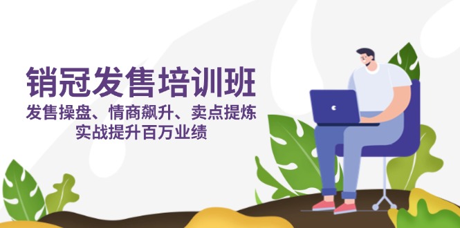 (14203期)销冠 发售培训班:发售 操盘+情商 飙升+卖点 提炼,实战提升百万业绩-静昭俊轻创站