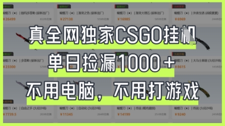 真全网独家CSGO挂G，单日捡漏1k+【揭秘】-静昭俊轻创站