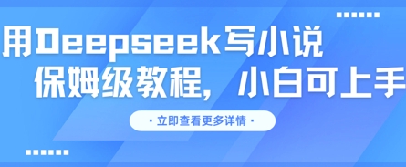 用Deepseek写小说，保姆级教程，小白可实操-静昭俊轻创站